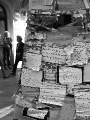 DSC03848_bw