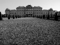 DSC05717_bw