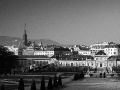 DSC05719_bw